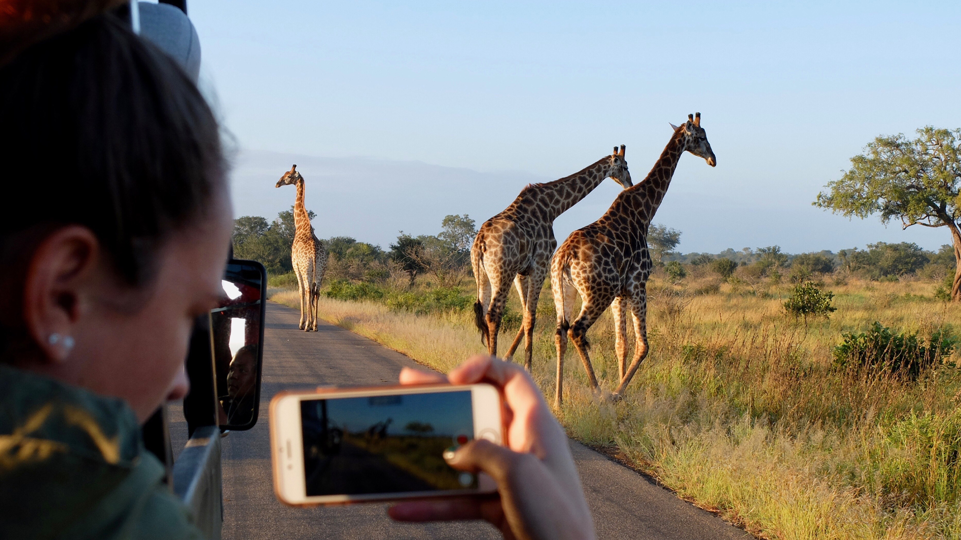 Giraffe5-1